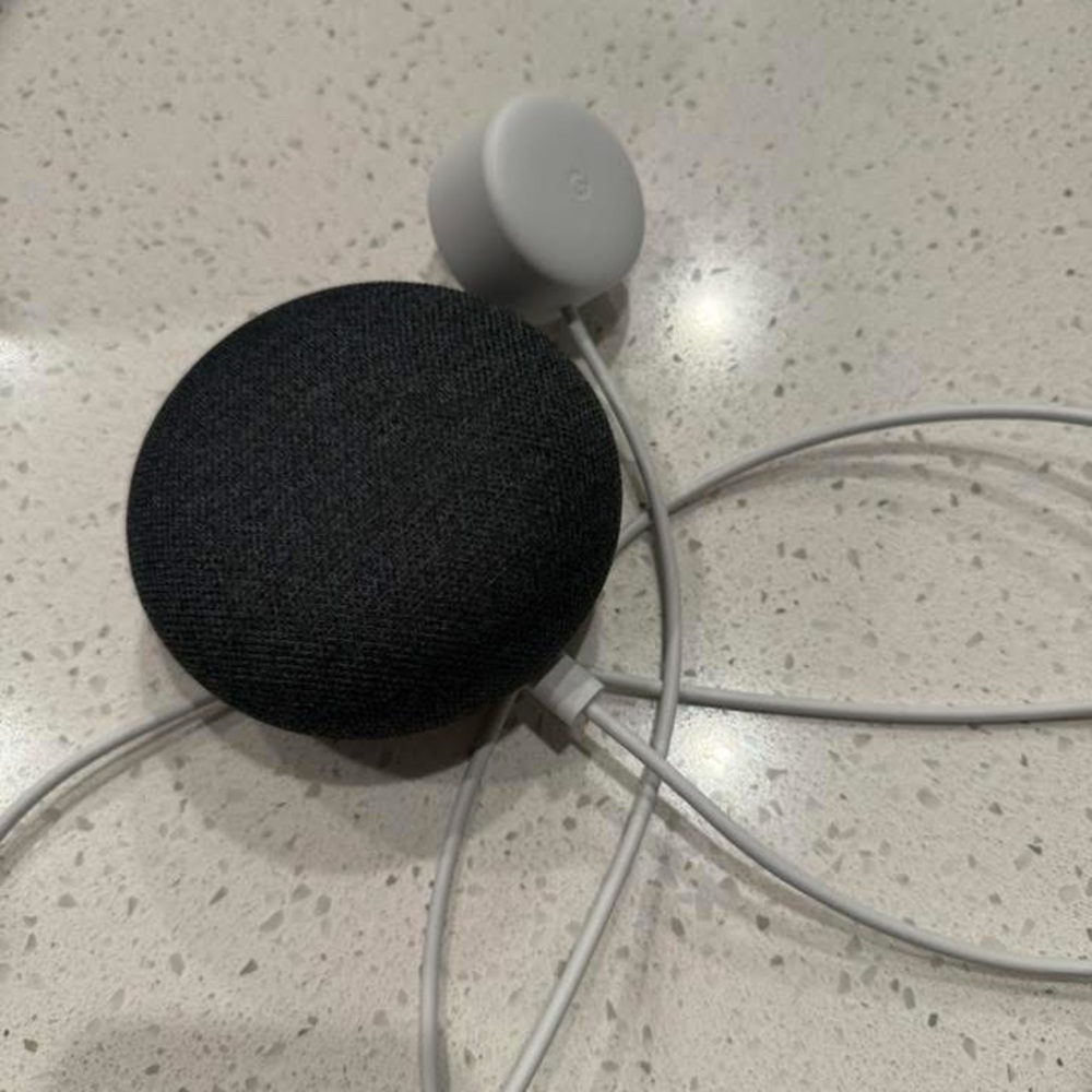 Google Nest Mini Smart Speaker - Charcoal